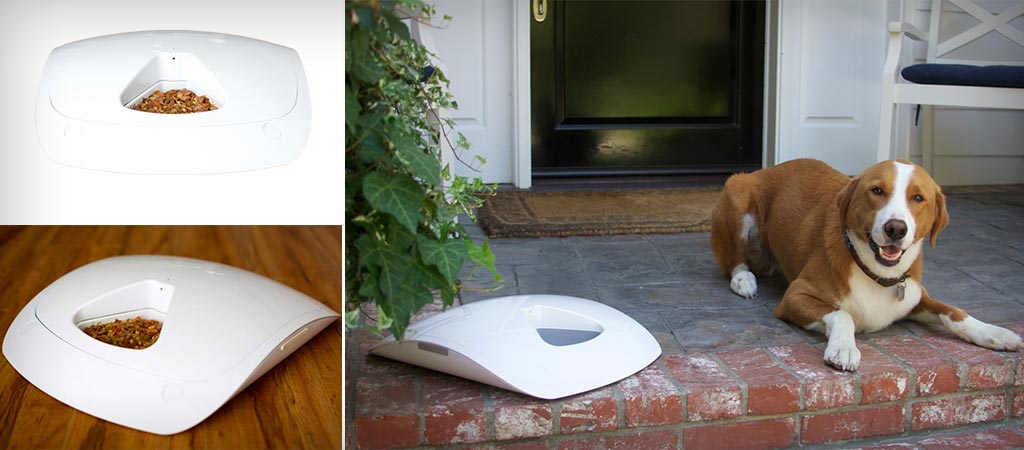 Feed and Go | Automatic Pet Feeder