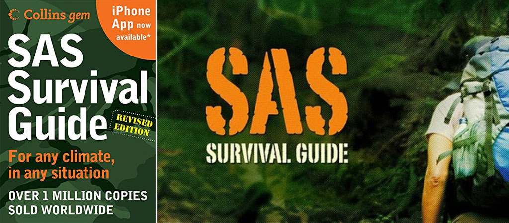 SAS Survival Guide 2E
