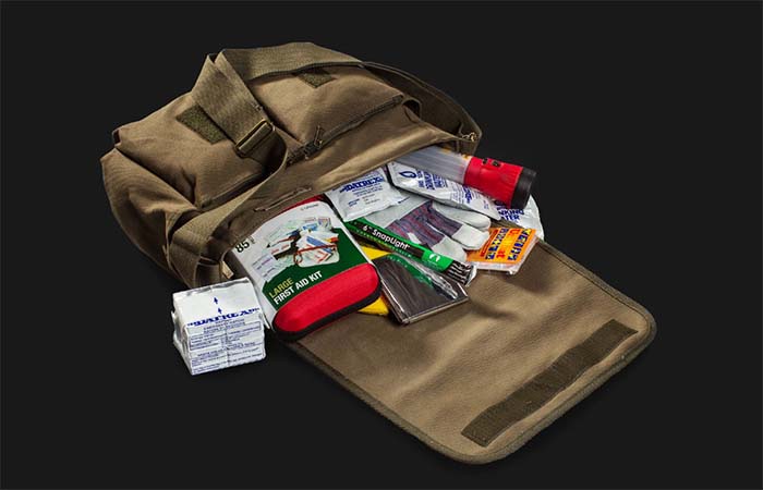 The Walking Dead Bag With Essential Apocalypse Things