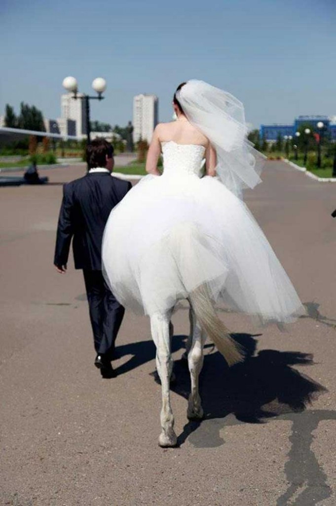 A bride riding a horse and a groom