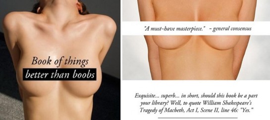 Book Of Things Better Than Boobs