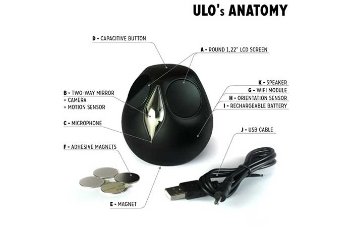 Ulo's anatomy