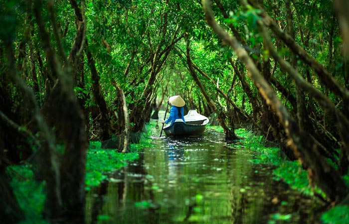  person in a boat paddling through the Tra Su Forest (Chau Doc)