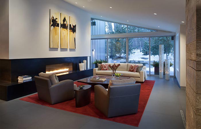 Black Birch Modern living room with a fireplace.