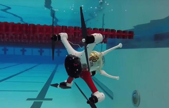 Loon Copter diving in a swimming pool, at a 90 degree angle.