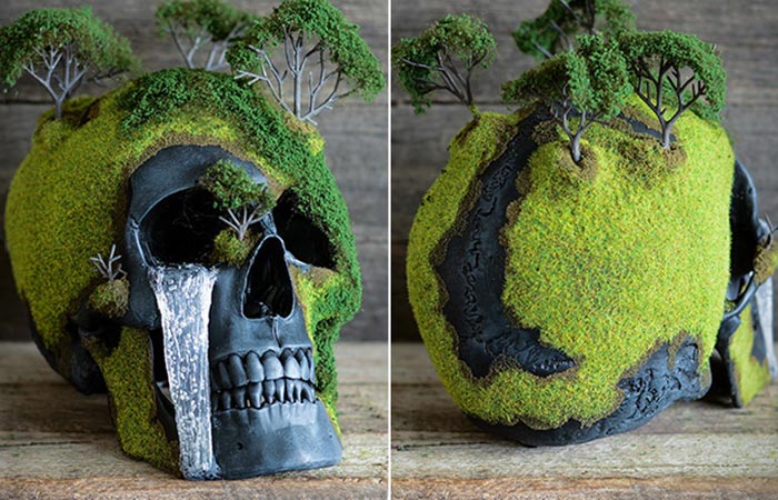 Two Images Of Spring Bonsai Mountain Skull