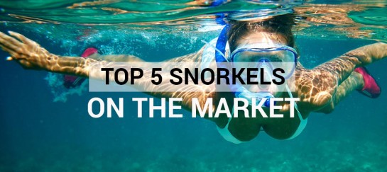 Top 5 Snorkels On The Market
