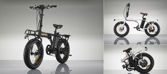 Radmini | Foldable Fat Electric Bike