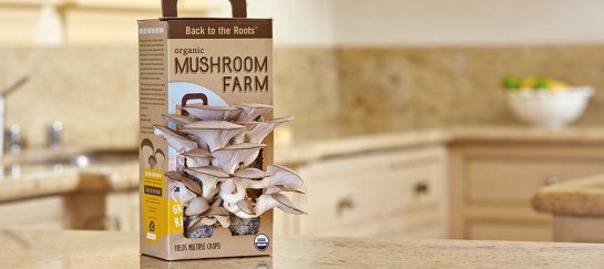 Back To The Roots Organic Mushroom Farm