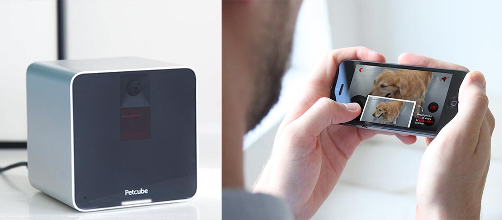 The pet cube and a view of the smartphone app