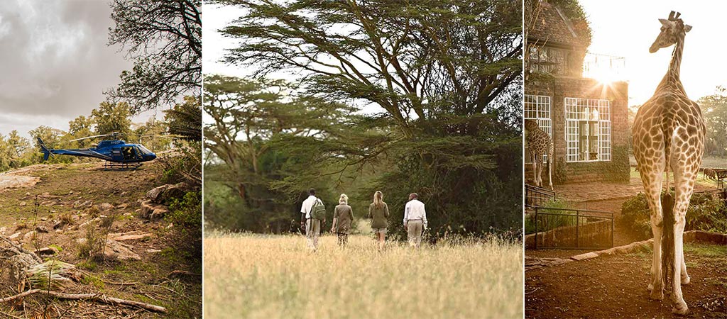 Explore The Wilderness Of Kenya | The Safari Collection
