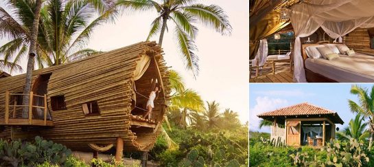 Playa Viva | Sustainable Boutique Hotel In Mexico