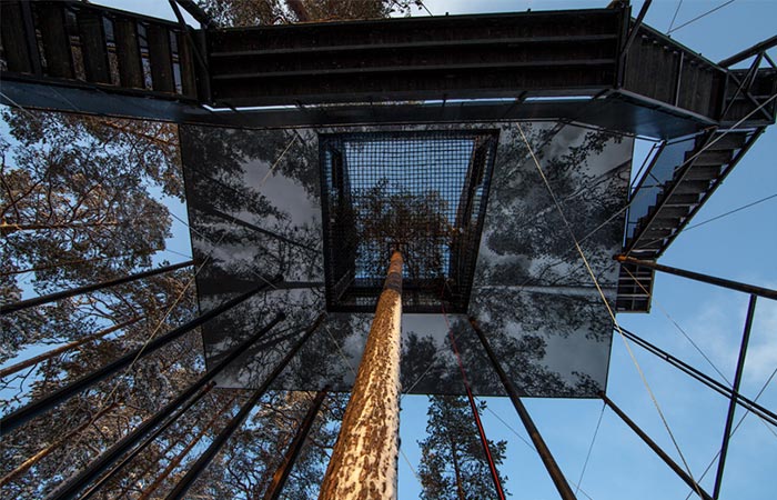 a look up to a treehouse
