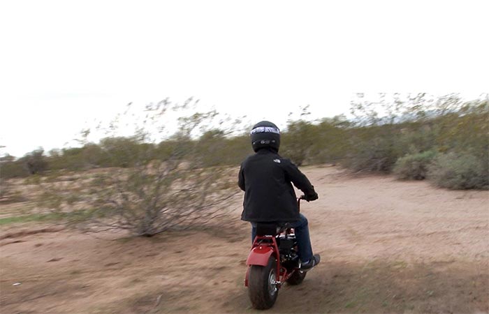 Back view of a man using the Coleman Powersports Mini Trail Bike