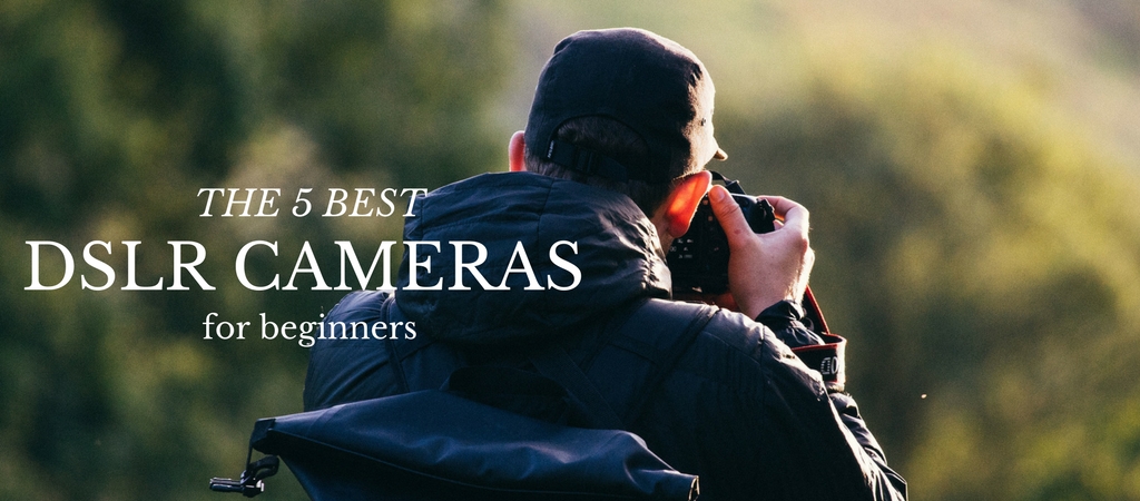 The 5 Best DSLR Cameras For Beginners