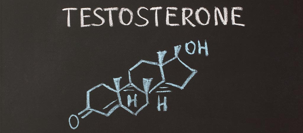 Regulating Testosterone Levels Naturally Through Diet