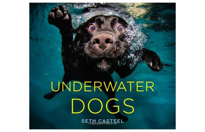 Underwater Dogs 