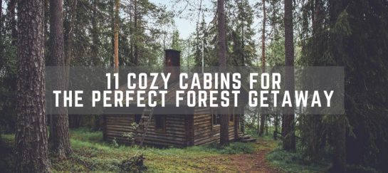 11 Cozy Cabins For The Perfect Forest Getaway