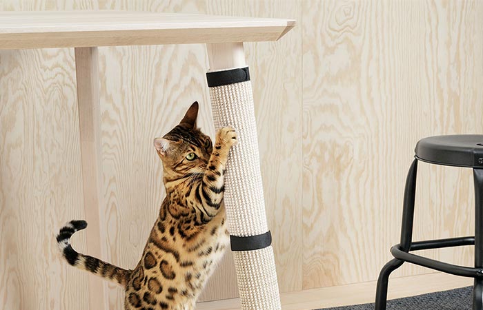 a cat playing with scratching table leg Pet Collection Lurvig