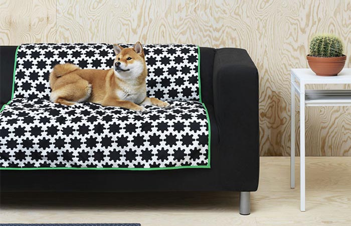 a dog sitting on Ikea pet blanket Pet Collection Lurvig