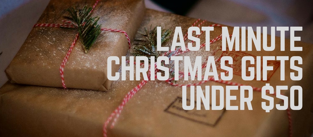 Last Minute Christmas Gifts Under $50