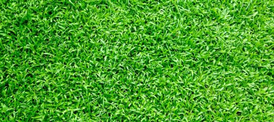 5 Tips For Maximizing the Longevity of Your Artificial Turf