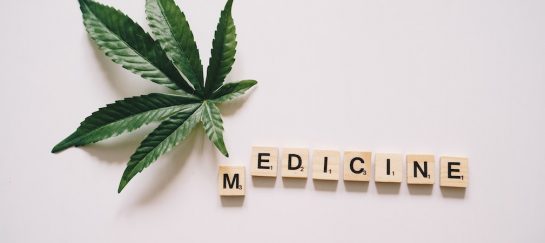 Navigating the Role of a Medical Marijuana Doctor: Insights and Guidance